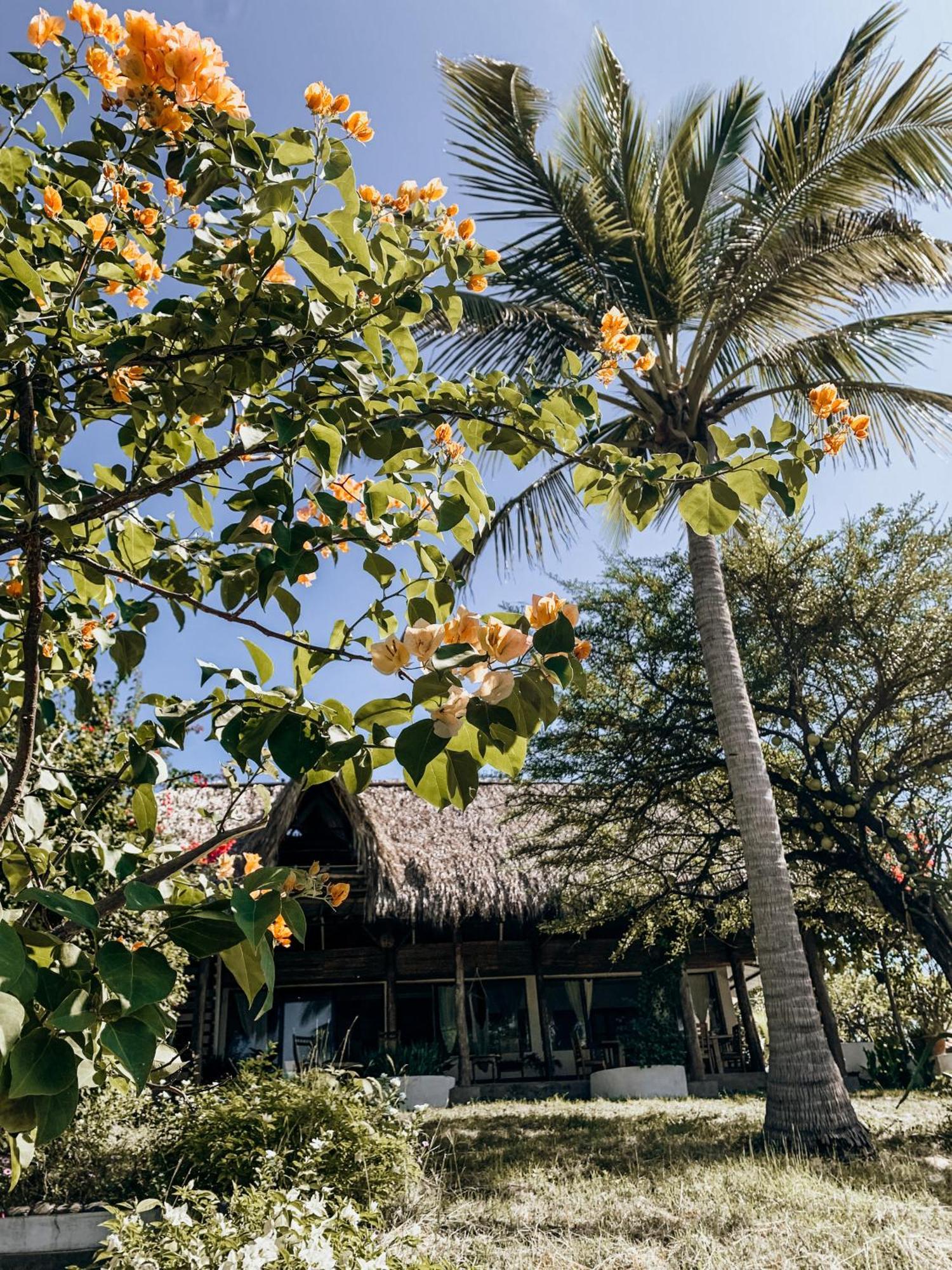 Nimbu Beachhouse Transito Luaran gambar